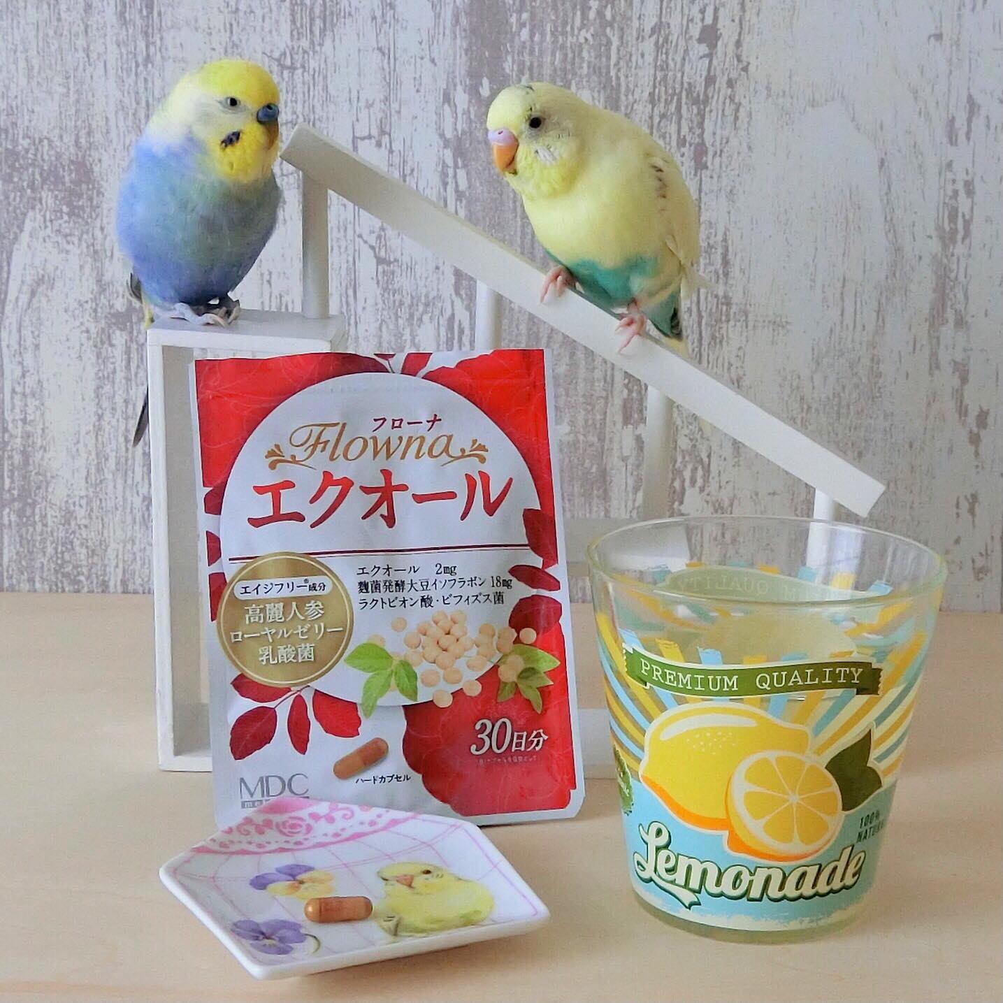 口コミ投稿：ルル&メル: 「フローナ エクオール」で、ママが健康的に過ごせるぞ！🐥😊🐥RURU&MERU: C…