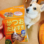 @daisuki_petfoods マルトモ様より「減塩　かつおだいすき」お試しさせて頂きました🐶ペット用のカツオ節でわんちゃん🐶ねこちゃん🐱のためのカツオ節。　減塩です♪国産で保存料…のInstagram画像