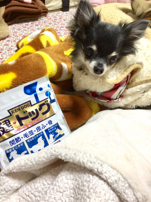 口コミ：愛犬の健康サプリメントに新田ゼラチンダイレクトさんの健・ドッグの画像（1枚目）