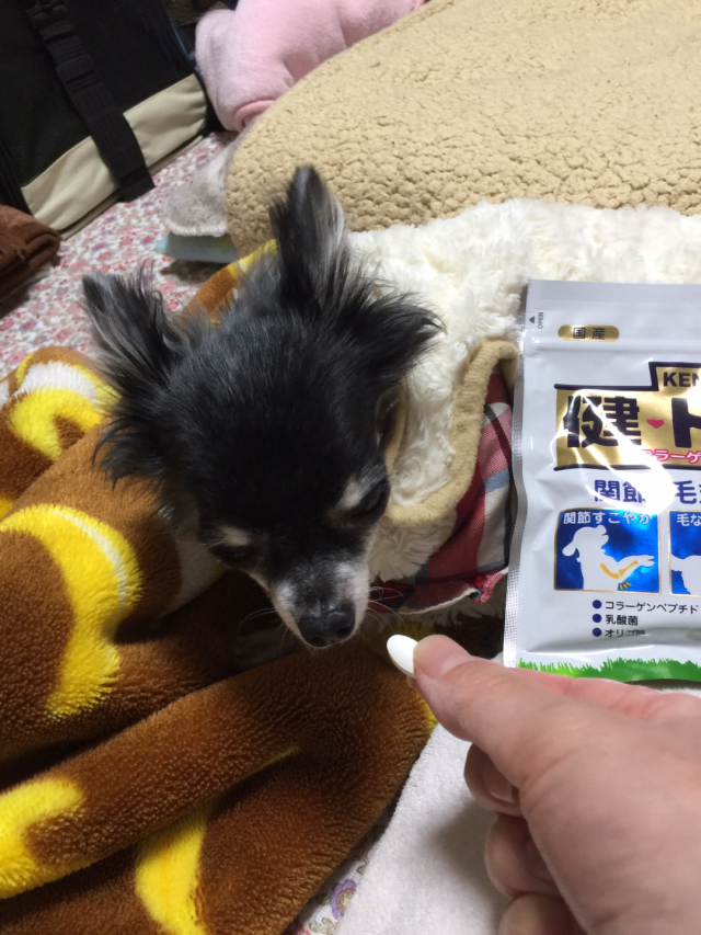 口コミ：愛犬の健康サプリメントに新田ゼラチンダイレクトさんの健・ドッグの画像（2枚目）