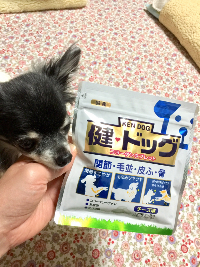 口コミ：愛犬の健康サプリメントに新田ゼラチンダイレクトさんの健・ドッグの画像（7枚目）