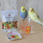 ルル&メル:ママ、『Rimenba』を飲んでボクたちのゴハンを忘れないでね！🐥🐥😅RURU&MERU: Mamma, bevi "Rimenba" e non dimenticare il nost…のInstagram画像