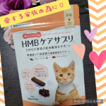 兼松ウェルネス株式会社様の⁡〘 HMBケアサプリ〙⁡愛猫のレイちゃんにあげてみましたぁ(*'ω'ﾉﾉﾞ⁡⁡⁡⁡⁡⁡⁡家猫って運動不足が心配ですよね😭⁡⁡⁡…のInstagram画像