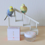 ルル&メル: 『しあわせ想い』オールインワンジェルで、ママがキレイになるぞ！🐥😊🐥.『しあわせ想い』は、幸せのシンボルである四つ葉のクローバーから作られた成分を配合するオールインワンジェルです‼️…のInstagram画像