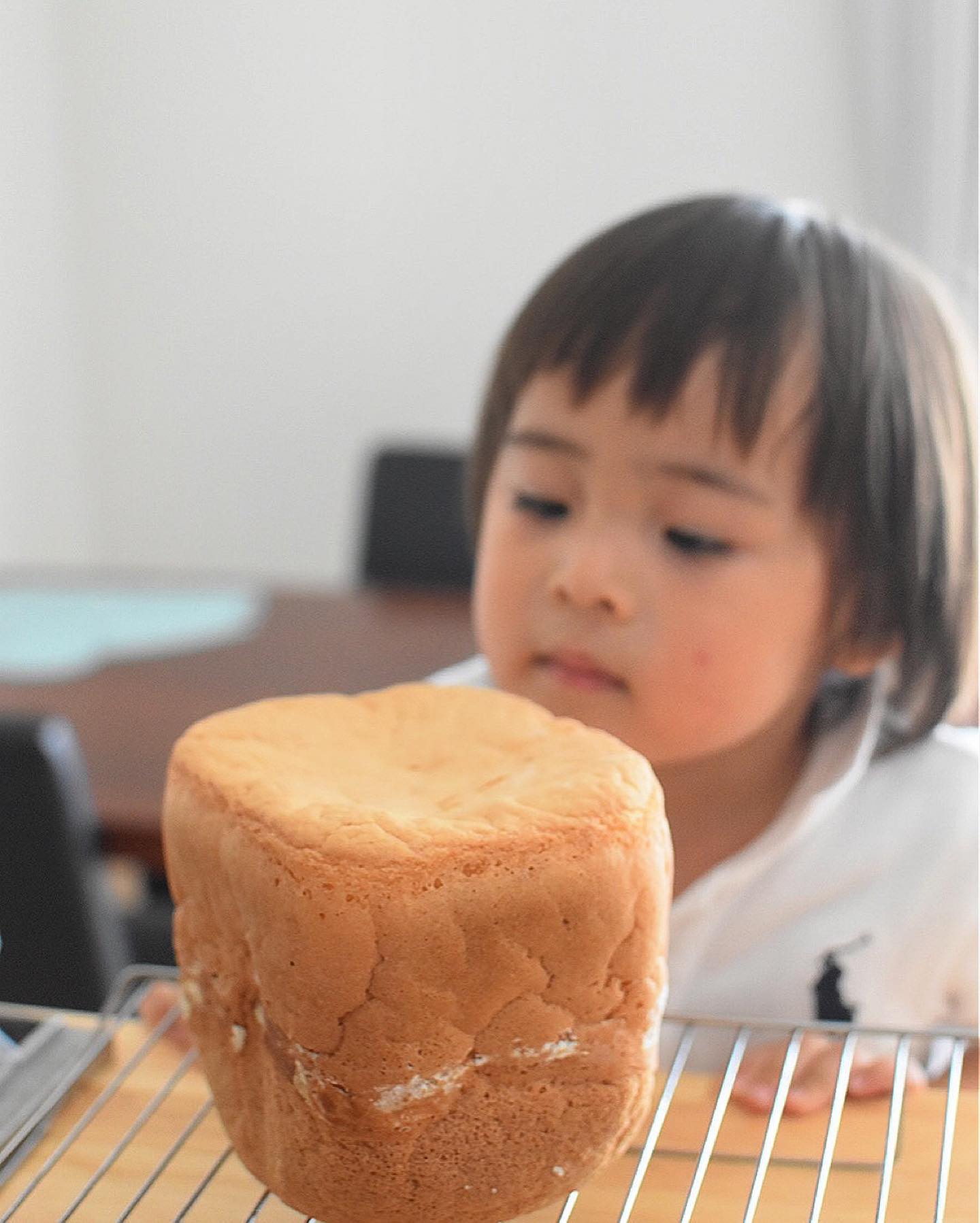 口コミ投稿：𝒈𝒍𝒖𝒕𝒆𝒏𝒇𝒓𝒆𝒆 𝒃𝒓𝒆𝒂𝒅𖠿⁡⁡久々にホームベーカリーを引っ張り出して＾＾米粉100%のパンを焼…