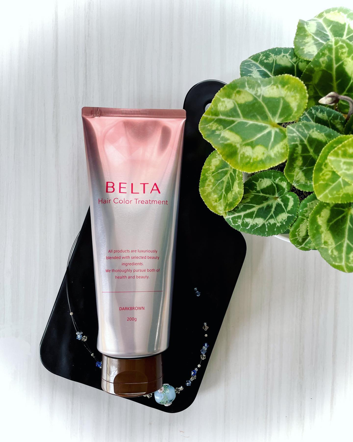 BELTA ヘアカラートリートメント ダークブラウン ベルタヘアカラー