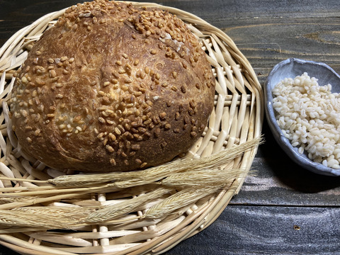 口コミ：もち麦で作る美味しいパンの画像（12枚目）
