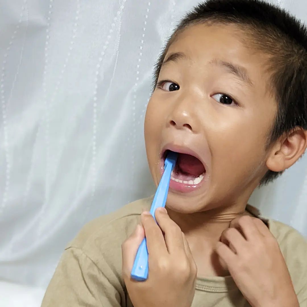 口コミ投稿：#クラプロックス #クラプロックス歯ブラシ 😄#スイス発 #キッズ歯ブラシ 1本990円🦷グ…