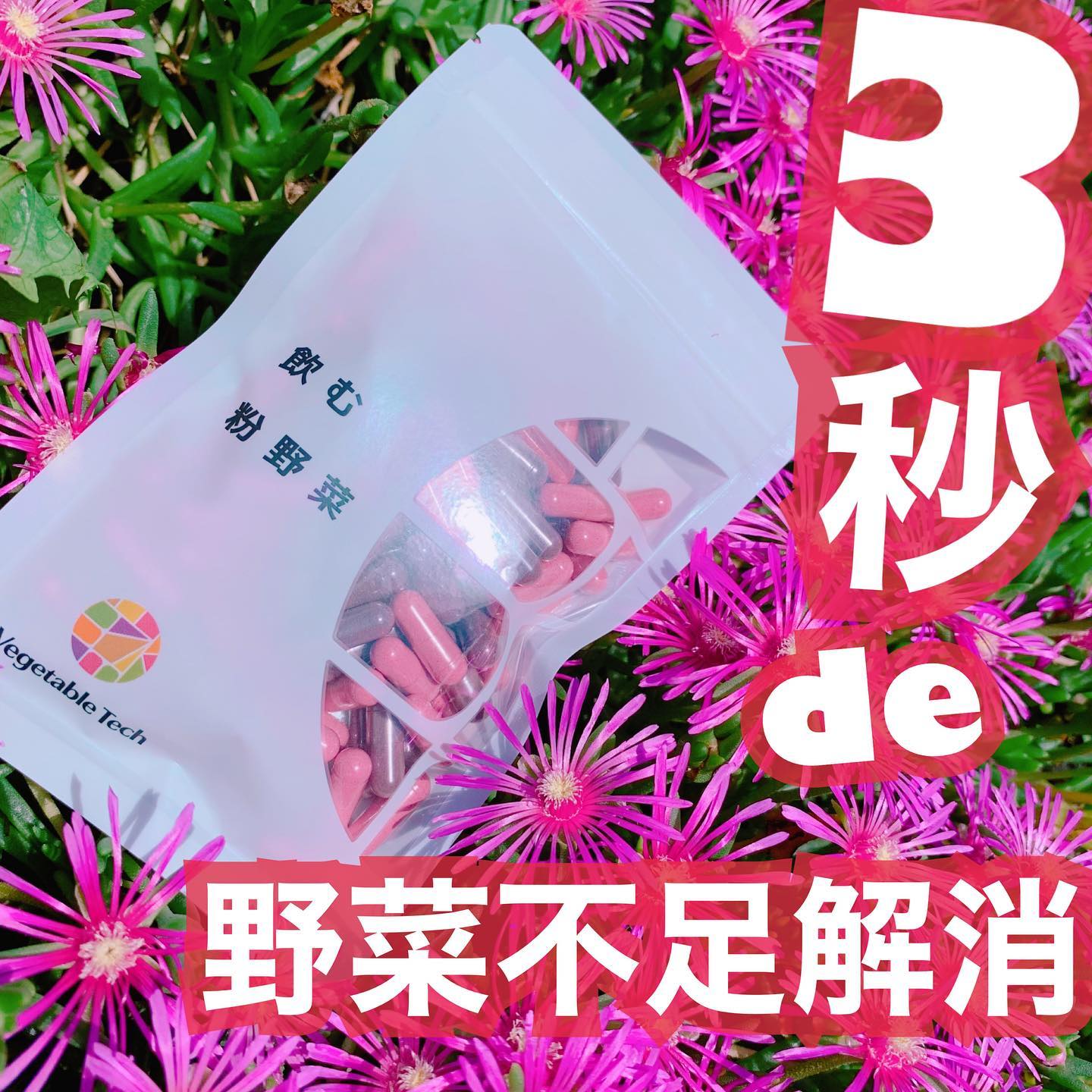 口コミ投稿：野菜不足が気になる…🥬毎日摂れる安心な粉野菜の🍅「飲む粉野菜」🍅を飲んでみました！…