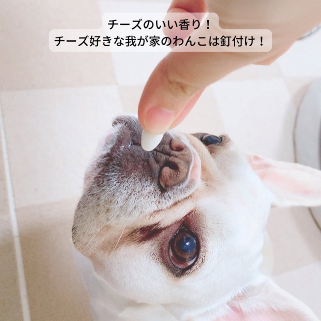 口コミ：新田ゼラチンダイレクト：犬用コラーゲンサプリメント健・ドッグの画像（3枚目）