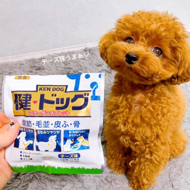 口コミ：犬用コラーゲンサプリメント【健・ドッグ】の画像（1枚目）