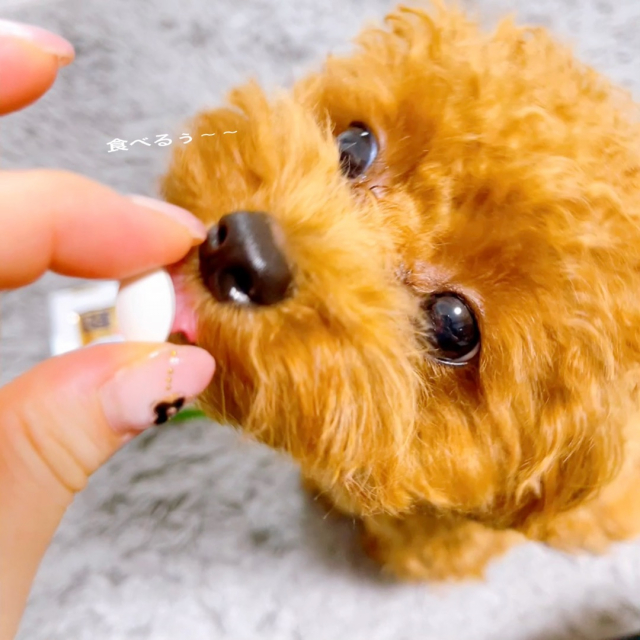 口コミ：犬用コラーゲンサプリメント【健・ドッグ】の画像（3枚目）