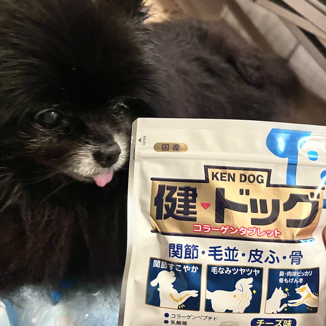 口コミ：犬のためのコラーゲンサプリ『健・ドッグ』お試ししたよ＾＾の画像（1枚目）