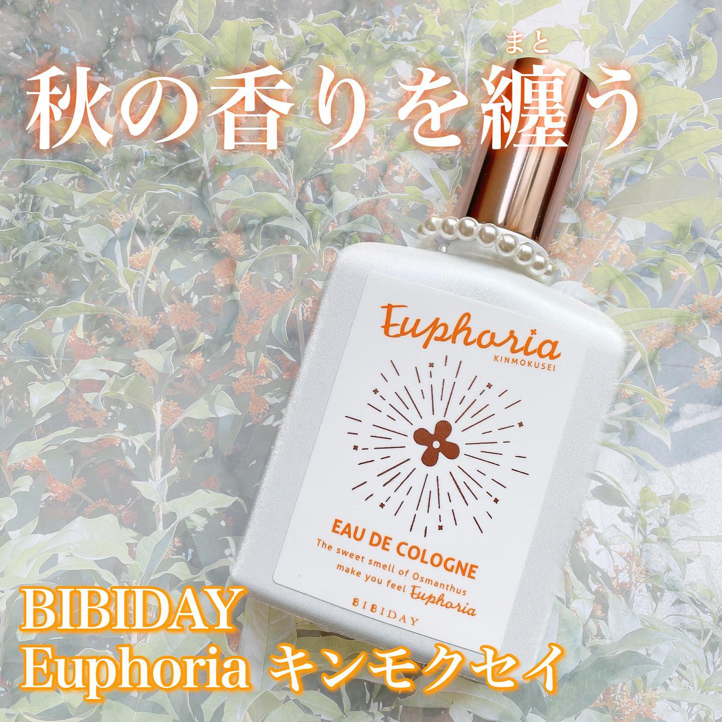 口コミ投稿：＼フレグランス初心者さんにも♪／⁡💛BIBIDAY　Euphoria キンモクセイ コロン💛⁡⁡この時…