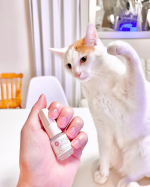 ㅤㅤㅤㅤㅤㅤㅤㅤㅤㅤㅤㅤㅤㅤㅤㅤㅤㅤㅤㅤㅤㅤㅤㅤㅤㅤ　ㅤㅤㅤただ手元撮ってただけなのに猫パンチされたwここ１ヶ月なるべく毎日続けてみた爪のダメージ補修のセラム🫧🫧製…のInstagram画像