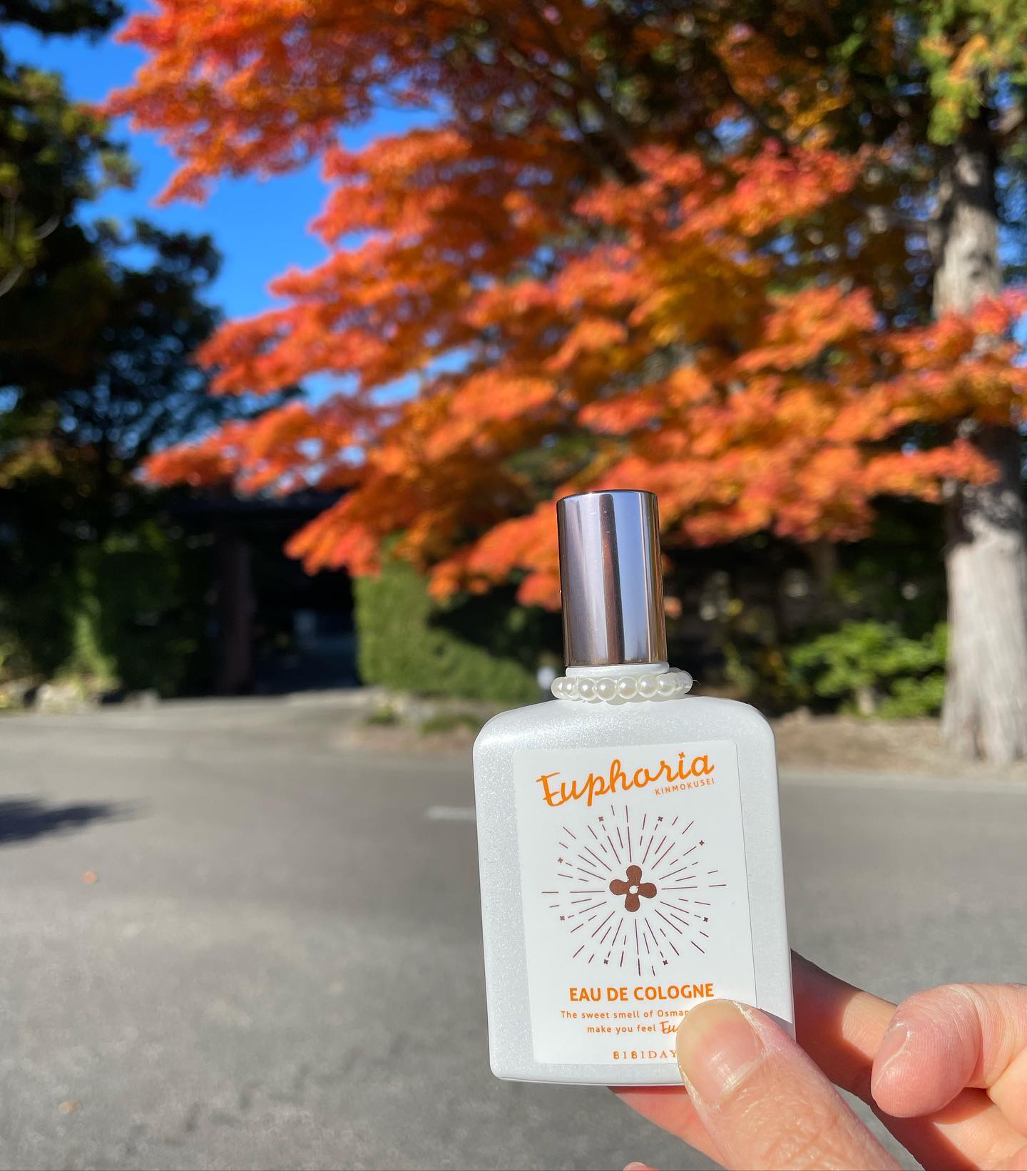 口コミ投稿：BIBIDAY・Euphoria キンモクセイ コロン 30mlこんなコロン待ってたぁ😆近所を歩いてる…