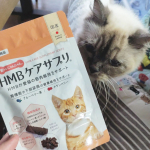 兼松ウェルネス株式会社さんの🐾HMBサプリメント　　　　筋トレにゃんにゃん🐾猫ちゃん用の運動不足や筋力UPに大活躍するサプリメントなんです♫おじいちゃん、おばあちゃん猫…のInstagram画像