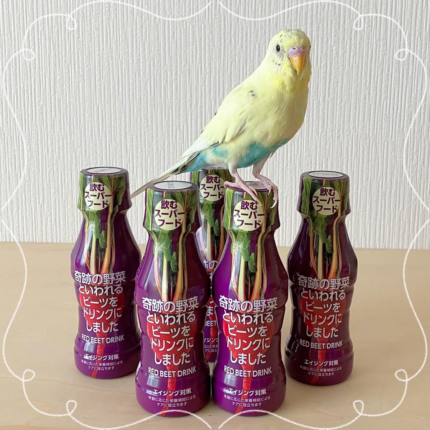 口コミ投稿：メル:紫色の栄養たっぷりのドリンクだぞ！🐥.『奇跡の野菜といわれるビーツをドリンク…