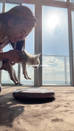 #18yearsold #doglife Exercising for my baby senior dog🐕🧡It's never too late to start anything🫶…のInstagram画像