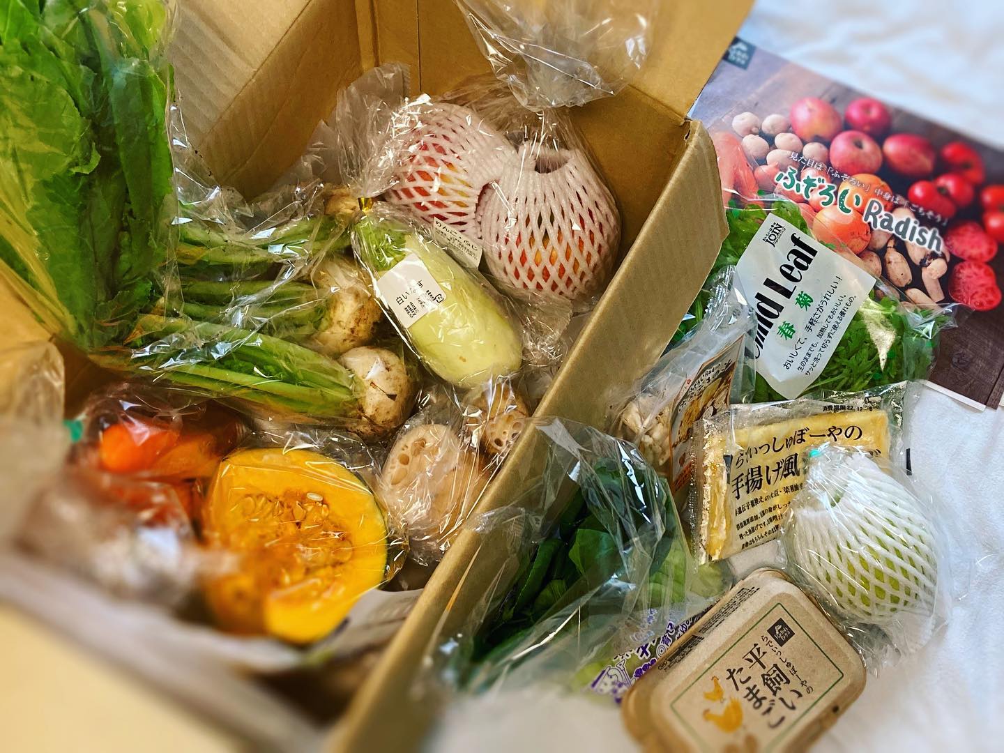 口コミ投稿：★らでぃっしゅぼーやの【14品入り】ふぞろい食材お試しセット届きました〜🚛₌³₃おいし…