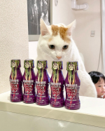 近すぎるランちゃんwㅤㅤㅤㅤㅤㅤㅤㅤㅤㅤㅤㅤㅤ　奇跡の野菜『ビーツ』の美容と健康のドリンク🥤美容やエイジングケアの他、血圧の効果や血流改善も期待できるよ♫これは本当においしくて…のInstagram画像
