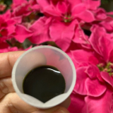 お茶のように飲めて健康に♪〜松寿仙　しょうじゅせん　の画像（4枚目）