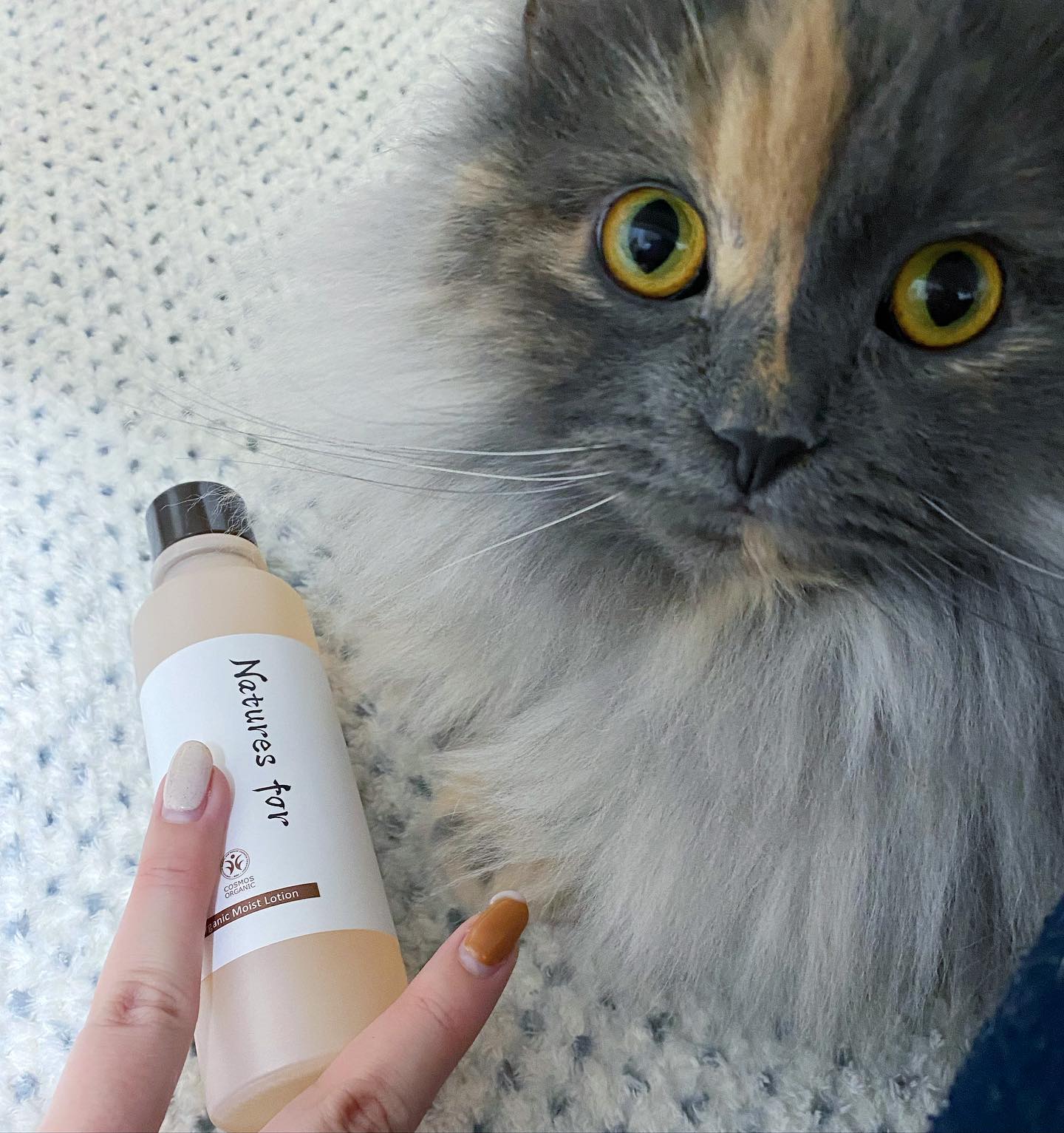 口コミ投稿：常に写りたがりな猫ですがそれよりもこのオーガニック化粧水をみて欲しい🥺ここ1週間…