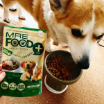 ミルクちゃんの朝ごはん🐶いつものフードに#mrefoodplus ❣️喜んで完食😊今年12歳になるミルクちゃん。まだまだ元気でいてね！#MREフードプラス #MREFOODPLUS #MR…のInstagram画像