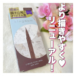 ‪𓂃キングダムリキッドアイライナーR1アッシュグレーお試しさせていただきました.′.′‪リキッドアイライナーWPからリニューアル品です✧︎3種の毛をオリジナルブレンドした筆は太…のInstagram画像