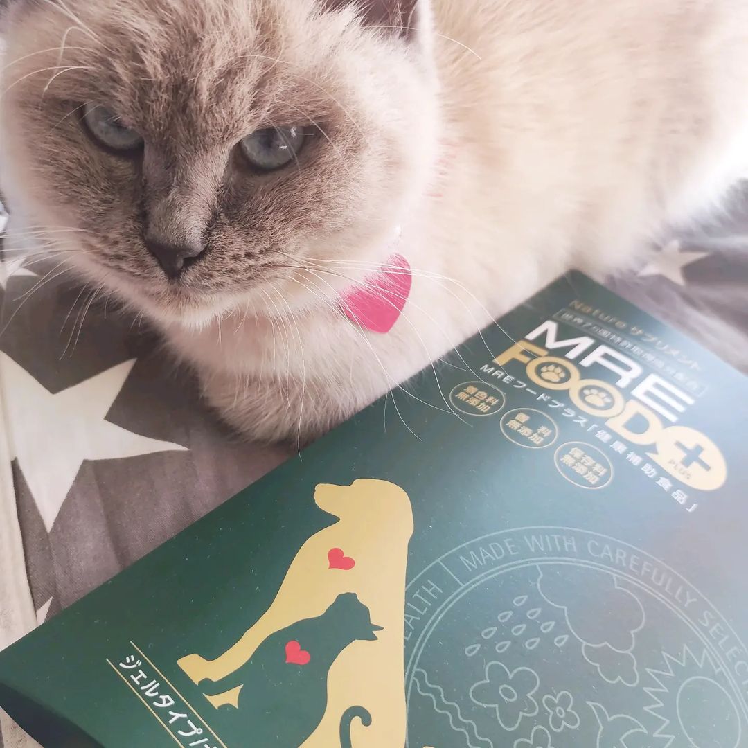 口コミ投稿：shishimaru383838株式会社スターネットさんの🐈MRE FOOD+ （MREフードプラス）🐈大切な…