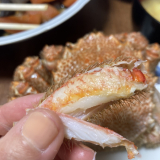 「最高に美味しい肉厚毛蟹」の画像（2枚目）