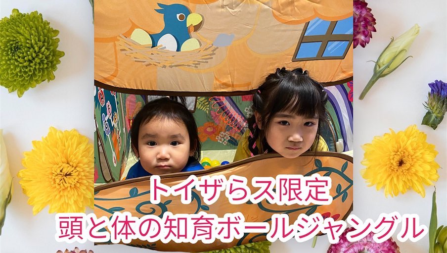 最安値】 頭と体の知育ボールジャングル ad-naturam.fr