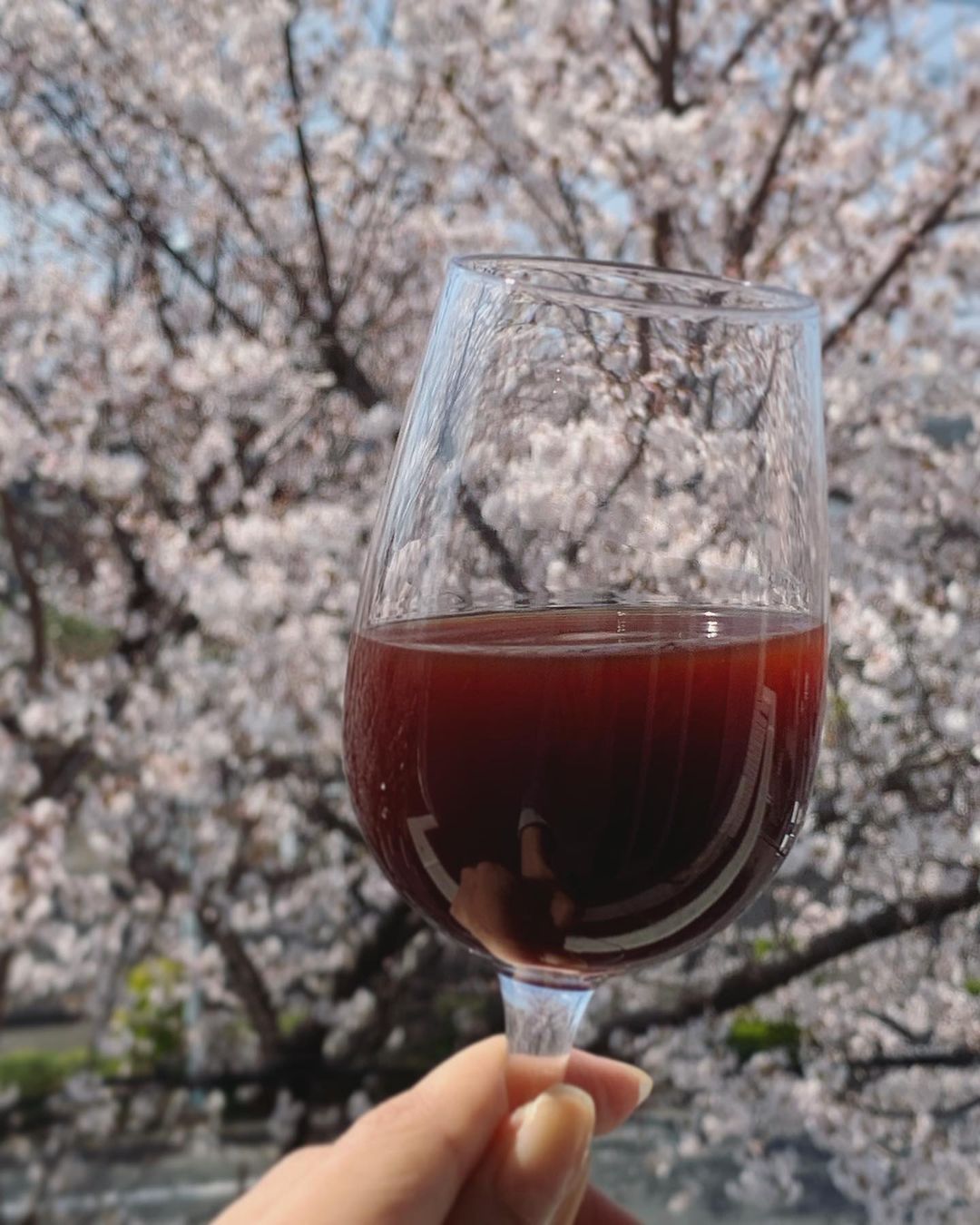 口コミ投稿：お花見日和🌸今日は赤ワインではなく、#奇跡の野菜と言われるビーツをドリンクにしま…