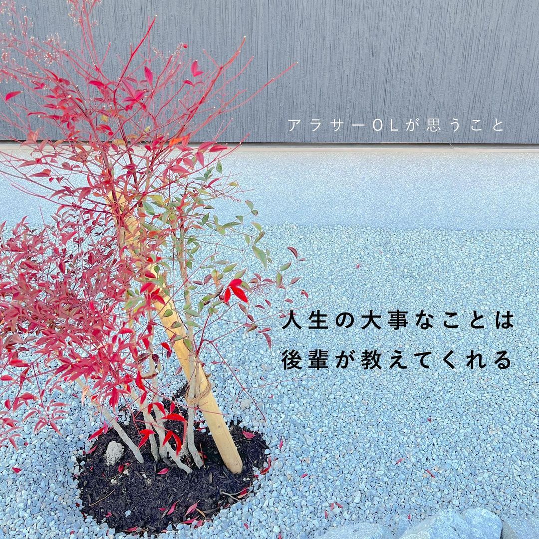 口コミ投稿：u0040na_ho___ アラサーOL　　最近後輩からの学びが多いな〜と感じ、投稿しました！…