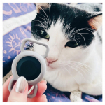 万一逃げ出した猫の迷子防止に、紛失防止スマートタグを使ってみました！⁡ペットの首輪用のケースもあるんです🐈‍⬛⁡ꕀ┈⋯ꕀ┈⋯ꕀ┈⋯ꕀグリーンハウス紛失防止スマートタグDIGL（ディグル）…のInstagram画像