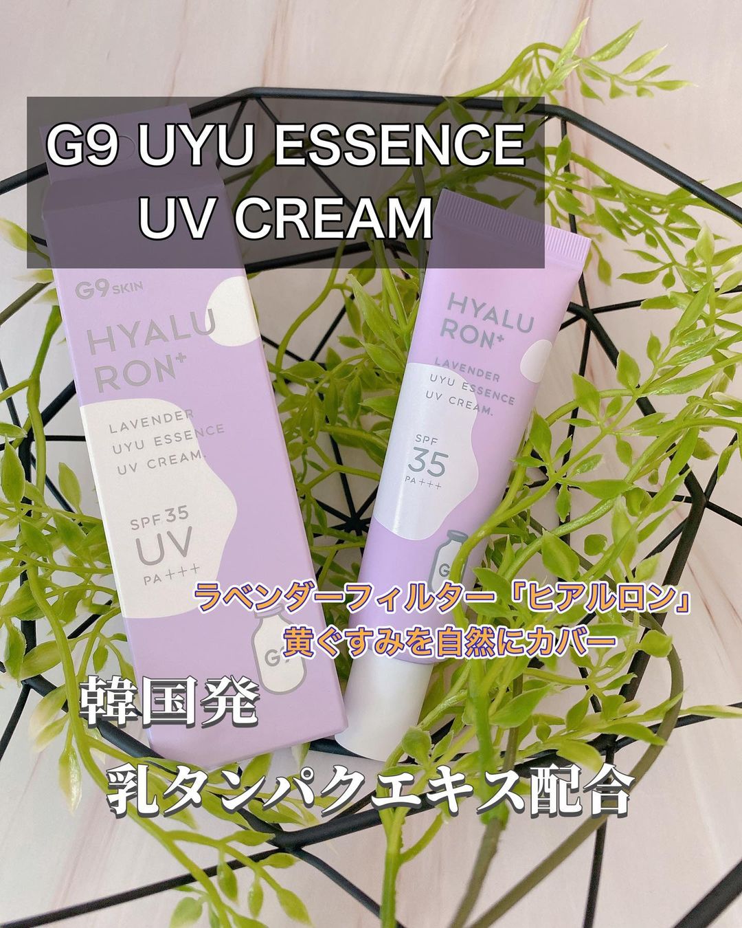 口コミ投稿：G9 UYU ESSENCE UV CREAM韓国発G9シリーズのコンセプト成分である「UYU（乳タンパク…