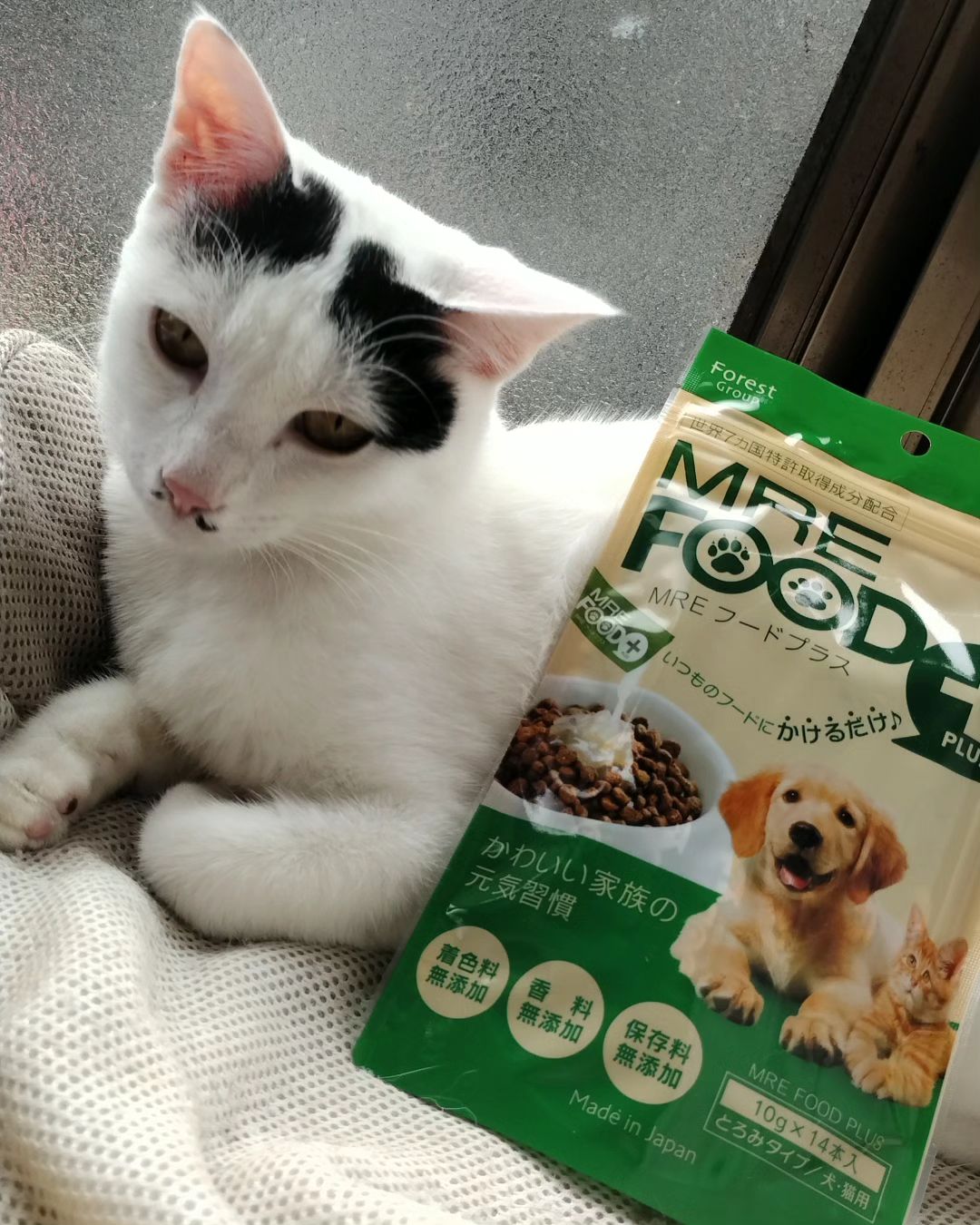 口コミ投稿：MREフードプラス⁡⁡⁡⁡ワンチャン猫ちゃんの健康補助食品⁡⁡⁡⁡そのままあげても、ご飯に…