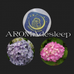 AROMAdesleepおやすみ時間に貼るアロマ🟦🟦🟦🟦🟦🟦🟦🟦🌛本日も気持ちいい目覚め🕕スヤスヤとAROMAの香りといい夢をみて。。。朝の散歩もできた🏃👌ぐっすりと寝れる(-_-)z…のInstagram画像