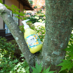 ♨🍋♨🍋♨🍋♨🍋♨🍋♨金土日月と４日連続サウナとお昼寝楽しんできました！！行き過ぎなんで、明日はお休み予定です🤣サウナ前にピーリングジェルを使うのが日課になっています！週2〜3回の使用が…のInstagram画像