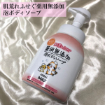 マックス【肌荒れふせぐ薬用無添加泡ボディソープ】✅植物由来の消炎成分、グリチルリチン酸ジカリウム配合で肌荒れを防いでくれる赤ちゃんも使える優しい使い心地の泡ででてくるボディソープ🫧✅…のInstagram画像