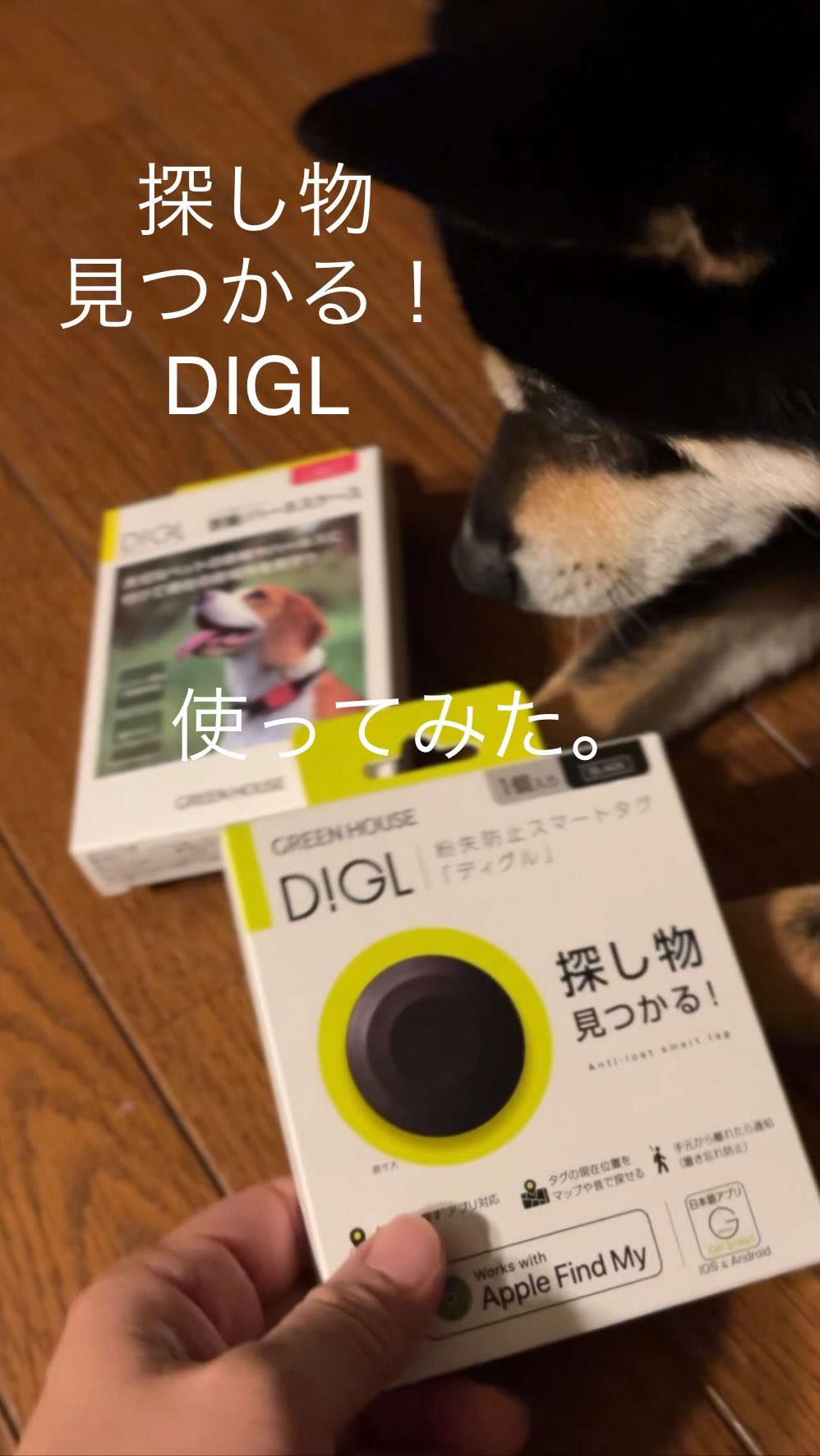口コミ投稿：スマートタグの【ディグル】DIGLを使ってみました。クマちゃんは散歩中や庭で遊んで…