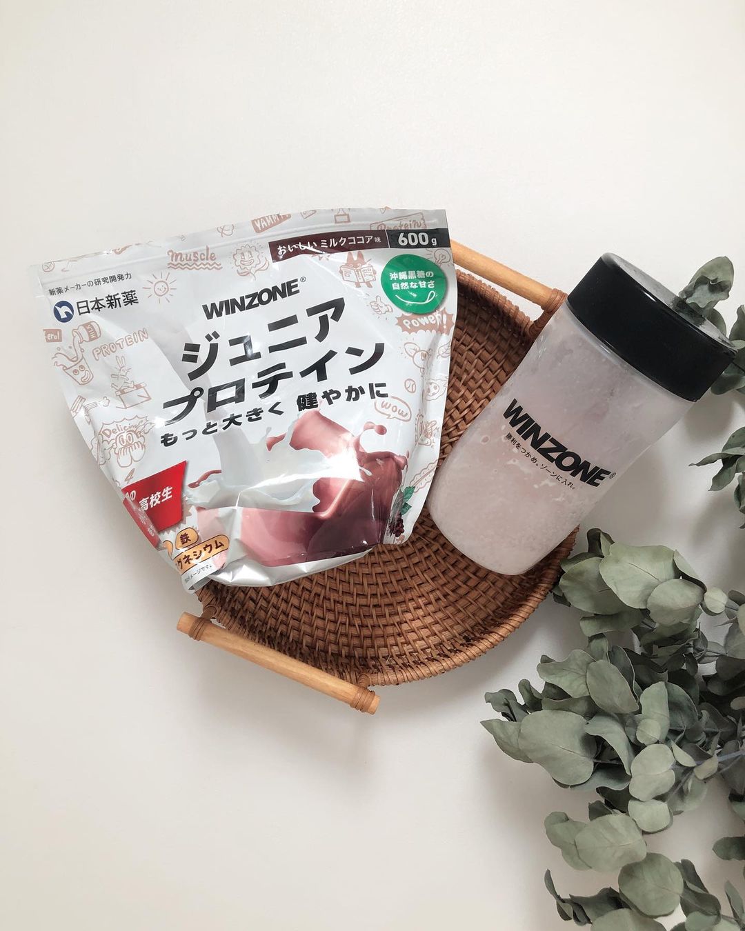 口コミ投稿：WINZONE ジュニア プロテイン おいしいミルクココア風味我が家は今、
