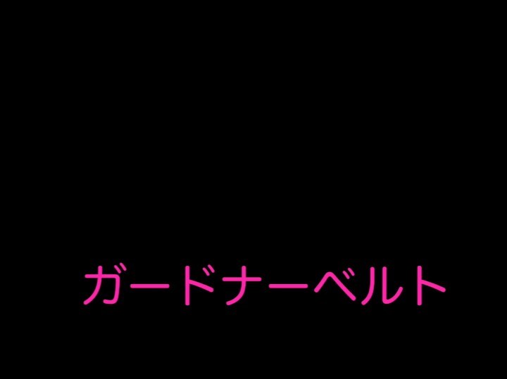 口コミ投稿：ガードナーベルトを使用してみました✨...一本で腰サポート・骨盤の補正・座り仕事サ…