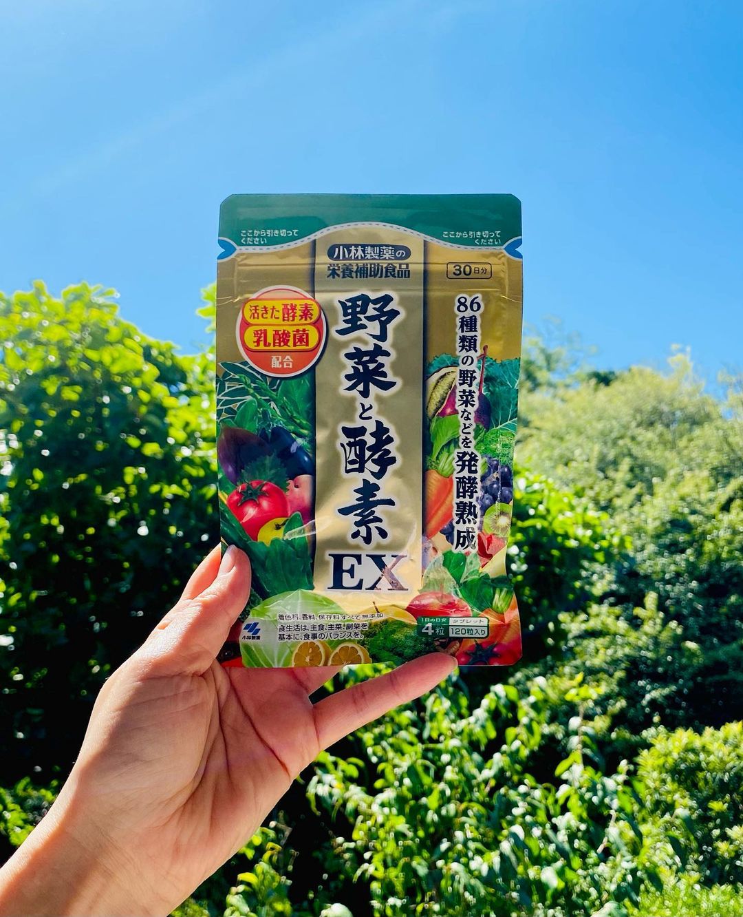 口コミ投稿：野菜と酵素EX野菜や果実、穀物、海藻など、86種類の自然の恵みを製薬会社の視点で厳…