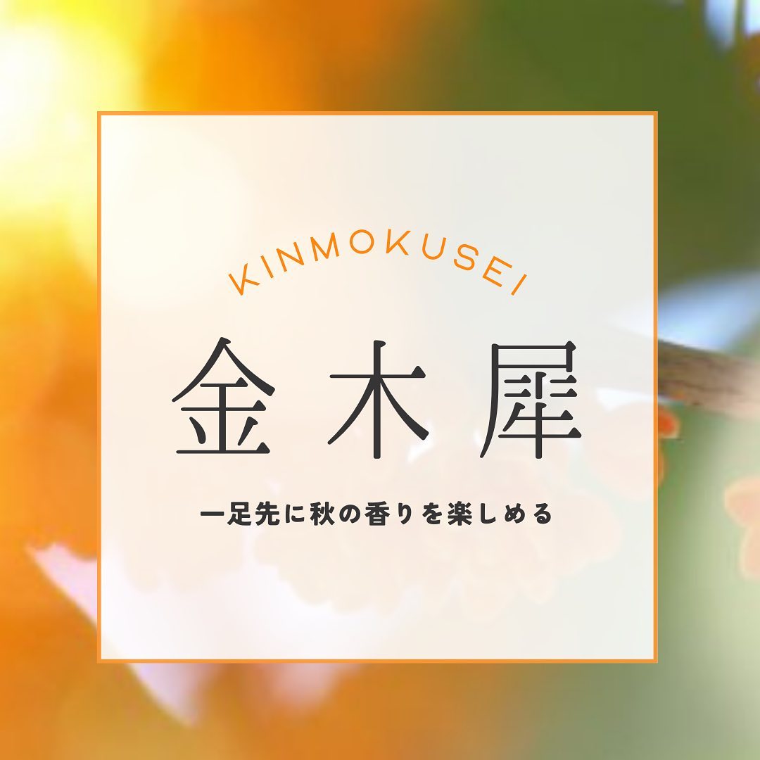 口コミ投稿：一足先に金木犀の香りを楽しめる商品を紹介植物由来成分97.5％のマルチオイルです。…