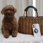 みんなのバッチのアプリで作ったバッチやフィンガークリップやマグネット♪お気に入りです✨どの写真をどのグッズに使おうかなぁ〜と考えるのも楽しかった♪簡単に作る事ができるので、オススメです♪…のInstagram画像