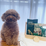 愛犬・愛猫用の健康サポート食品　MRE フードプラスそのままでも、ペロペロ舐めてくれていますが…ほぼ無味無臭だからなのかな？もふは、しばらくすると…それは…味無しの…と感じているっぽいです💦…のInstagram画像
