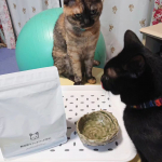 無添加キャットフード安心🐈️気が付くといつの間にか猫ちゃんが4匹！！みんなが食べてくれるキャットフード選びたいです。このフードは、この子が食べないなんてこともあるのでいろいろなもの常備して…のInstagram画像