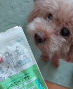 日本予防医学のペットサプリ【いぬだペプチド】をお試し★口にしてくれるか不安だったけど、ちゃんと食べてくれたからよかった(*^^*)#いぬだペプチド #ペットサプリ #犬の健康 #犬のいる暮らし #…のInstagram画像