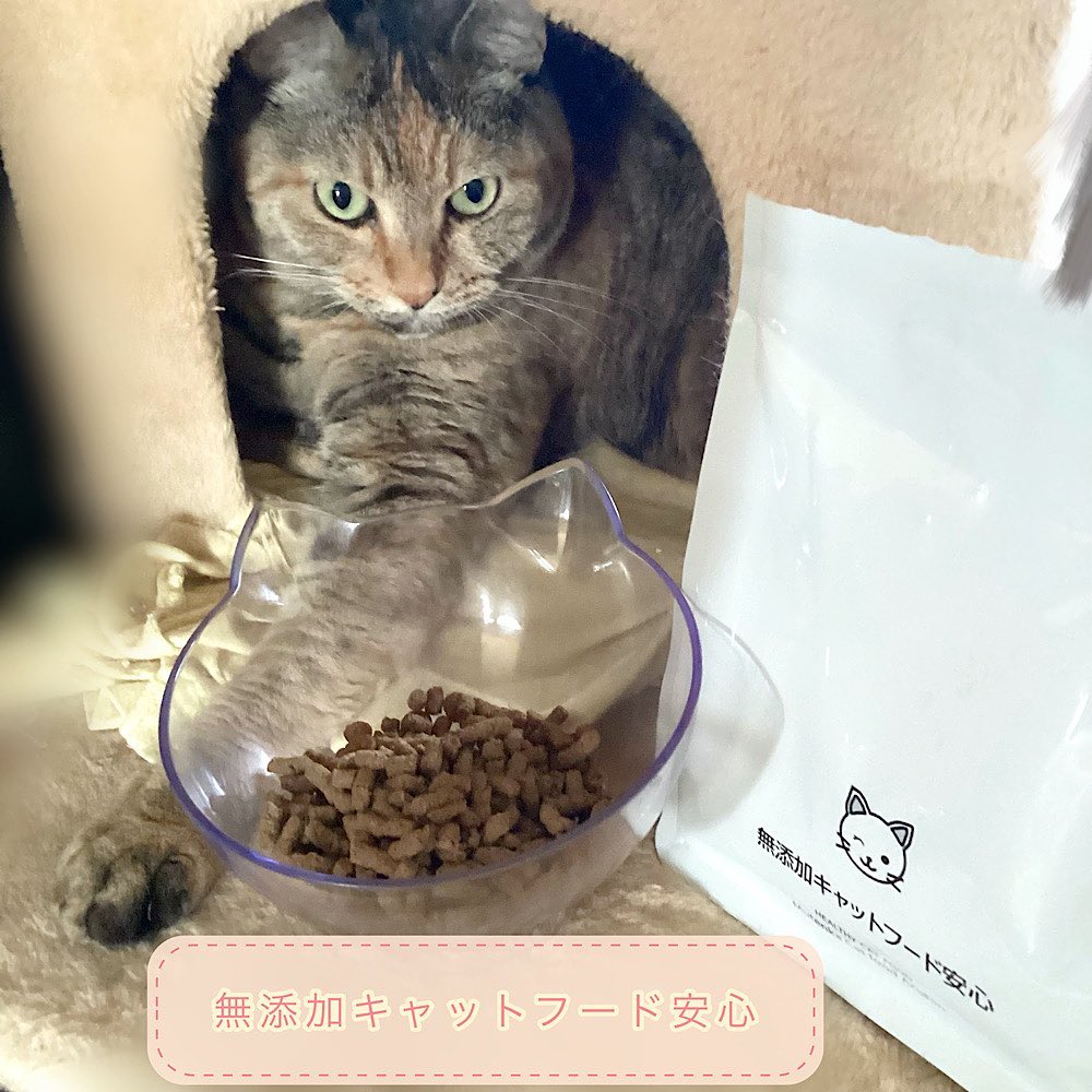 口コミ投稿：【無添加キャットフード安心（400g）】食べさせてみました。▫️特徴としては、人が食…